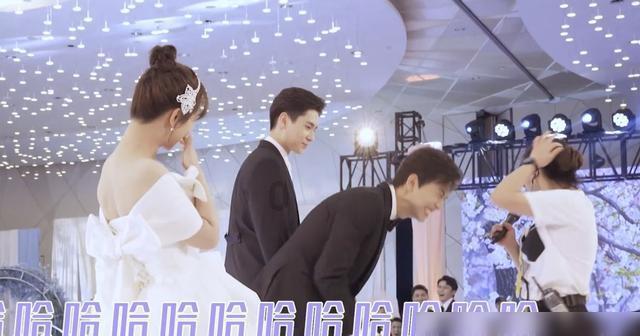 美丽的铅笔裙